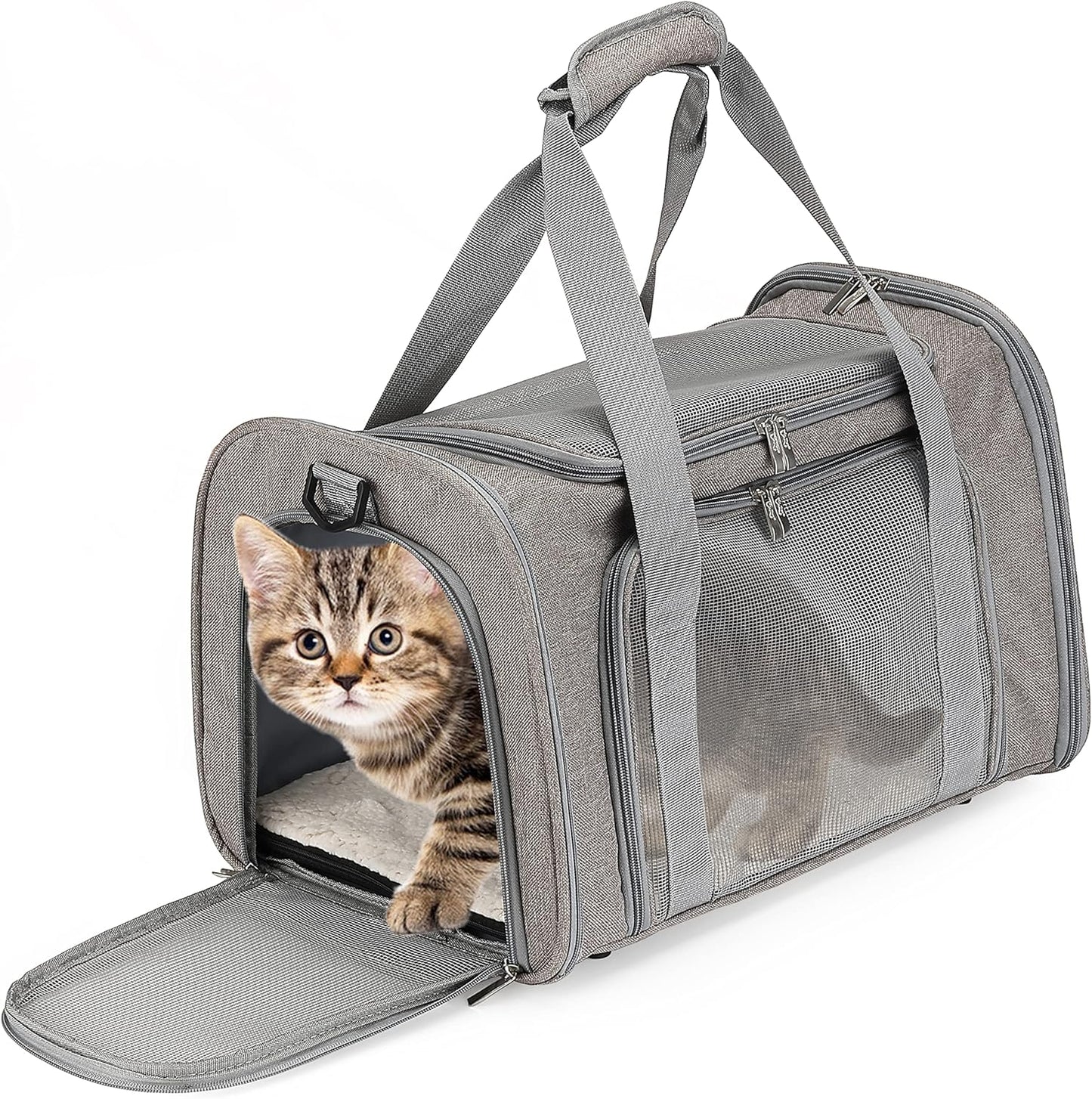 Cat Travel Carrier