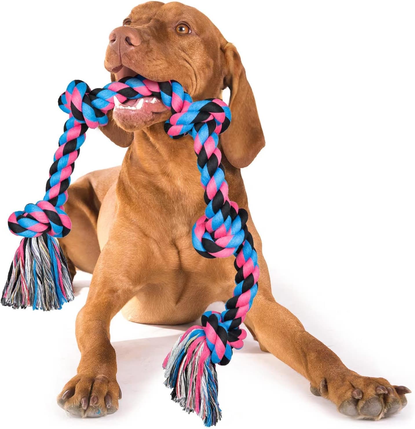 Dog Chew Rope Toy