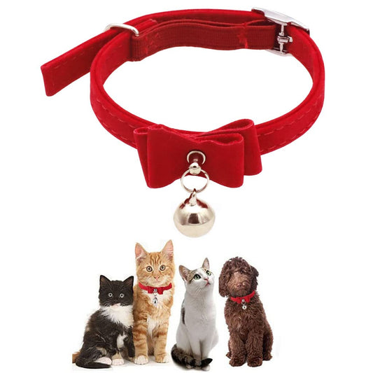 Cat Collar with Bell