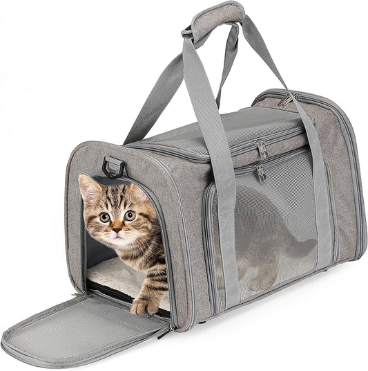 Cat Travel Carrier
