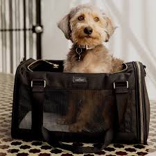 Dog Carrier Bag