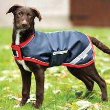 Waterproof Dog Coat